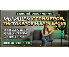 Ищем стримеров, тиктокеров и блогеров
