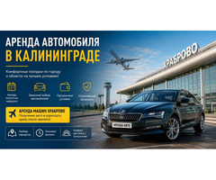Прокат автомобиля в Калининграде: что учитывать при выборе авто