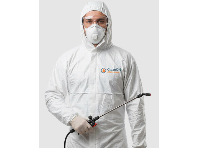 Избавим от тараканов в квартире — CleanON СЭС