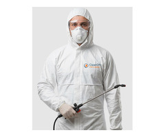 Избавим от тараканов в квартире — CleanON СЭС