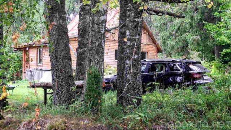 Продам: лесной хуторок под Изборском