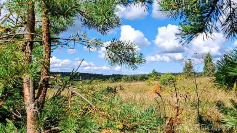 Продам: участок с домиком под Изборском
